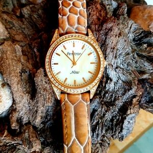 Armitron Women's Gold and Brown Watch